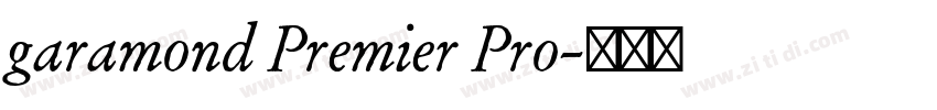garamond Premier Pro字体转换